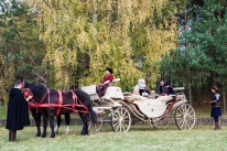 карета с лошадьми в минске